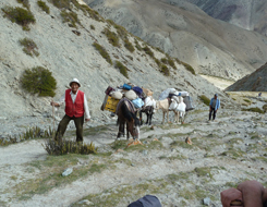 Zanskar Expedition