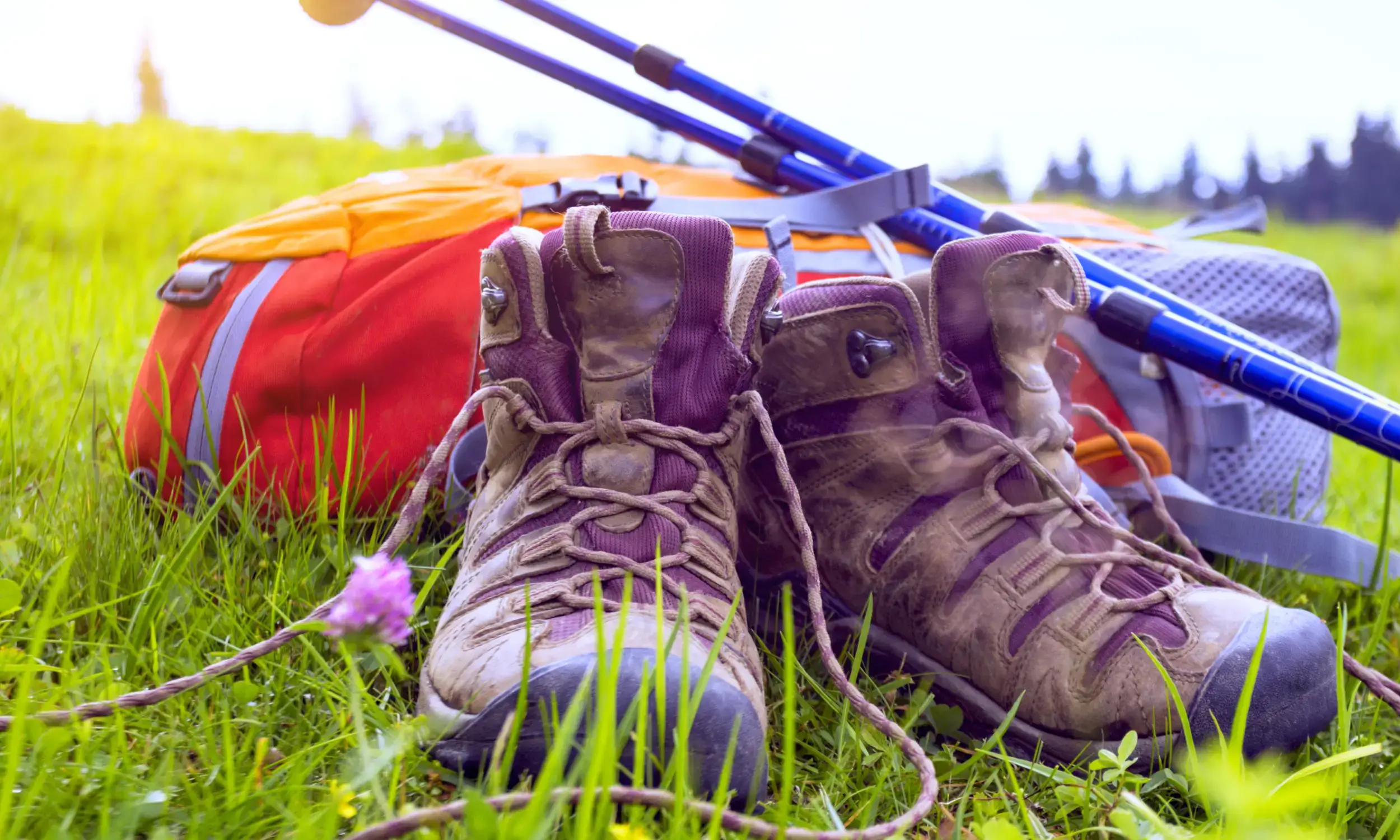 Himalayas Trekking