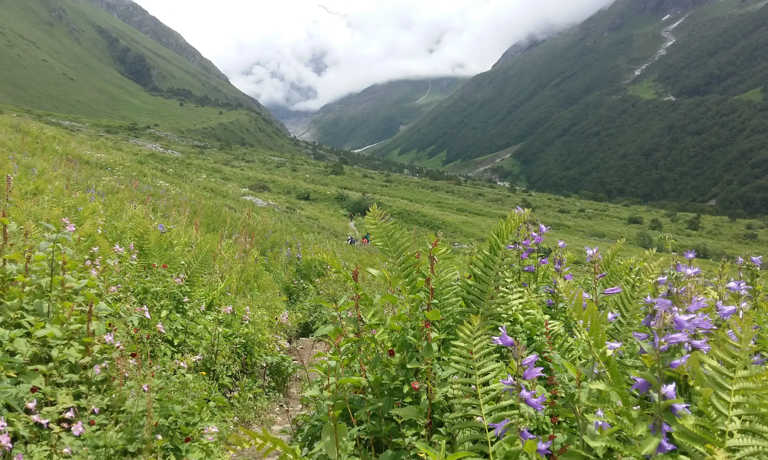 Trekking in Uttarakhand Himalayas