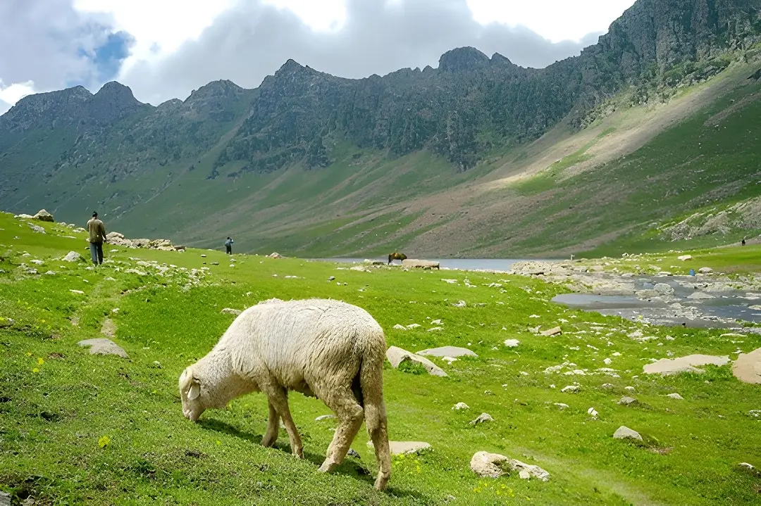 Tarsar Marsar Trek