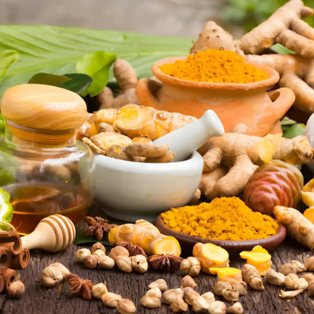 Kerala Ayurveda Therapy