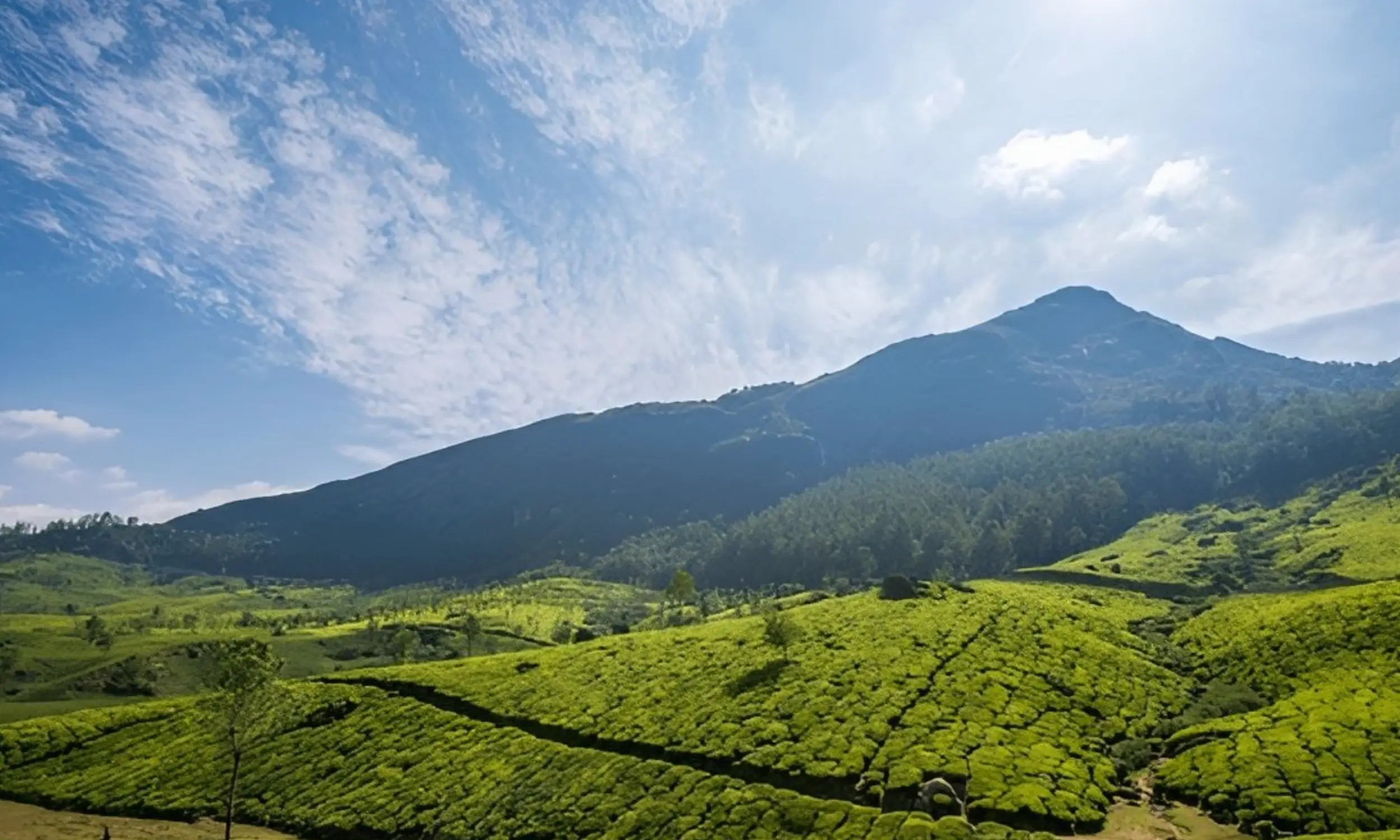 Top Hill Stations to Visit in Kerala 