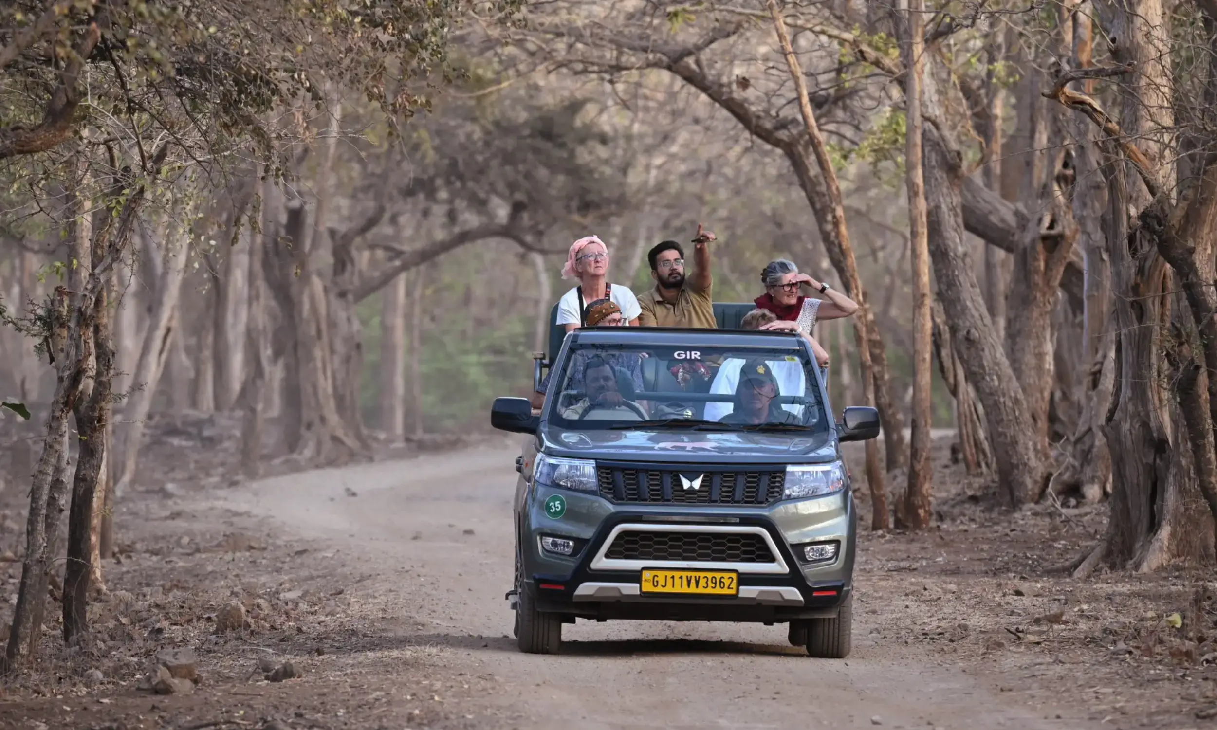 Gir National Park Safari Timings