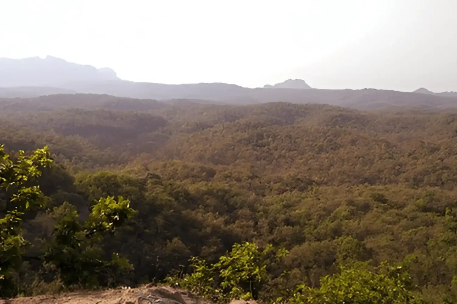 Hill Station Tourism in Madhya Pradesh