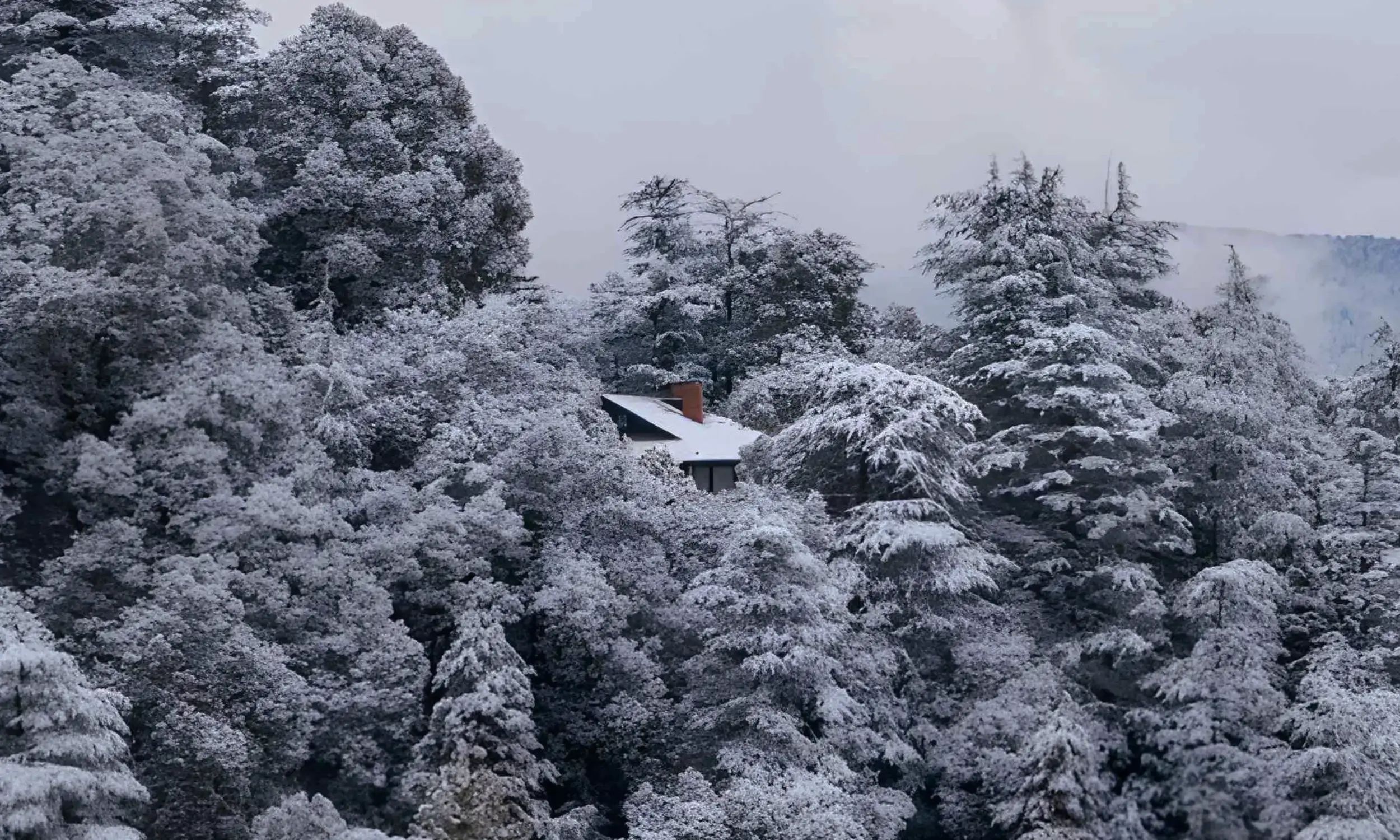 Kufri-Best Places to Visit in Winter in India