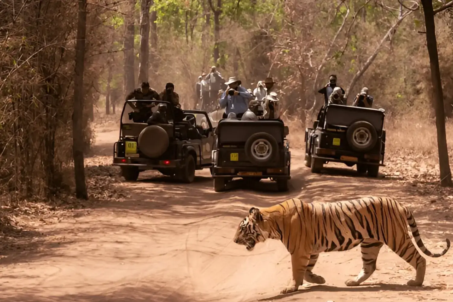 Madhya Pradesh Tourism Travel Tips