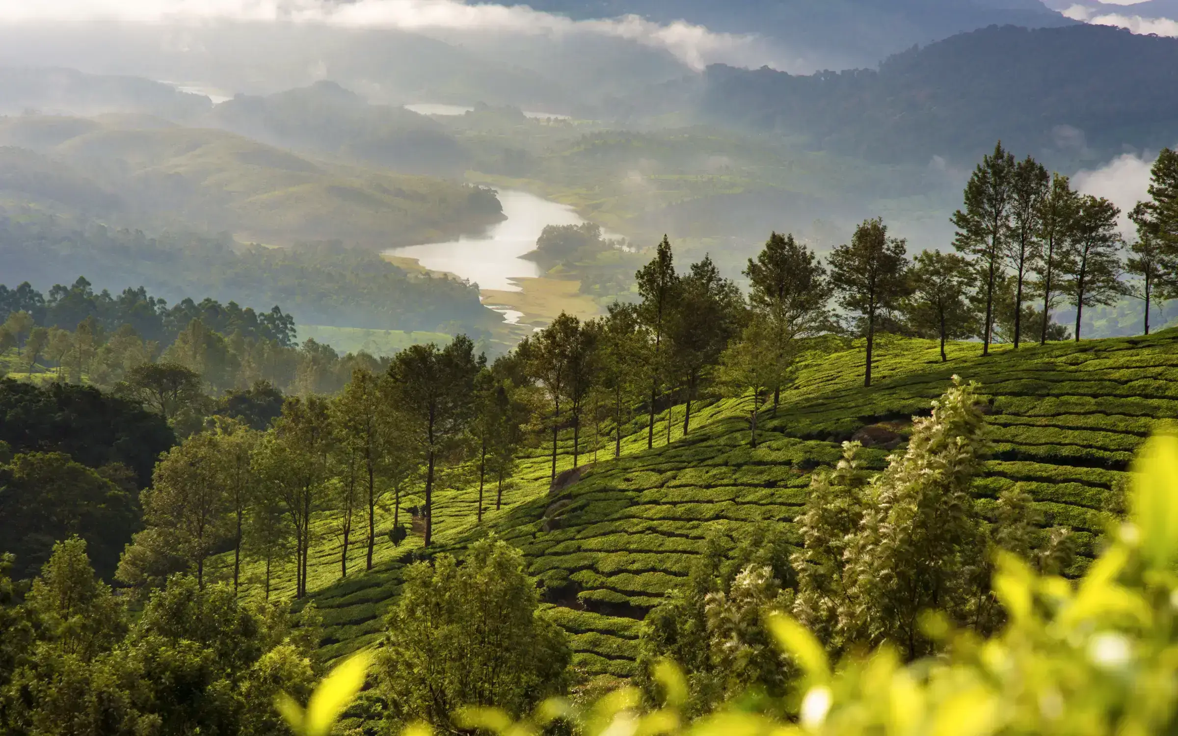 12 Best Places To Visit In Kerala South India Peak Adventure Tours 12 Best Places To Visit In Kerala South India Peak Adventure Tours