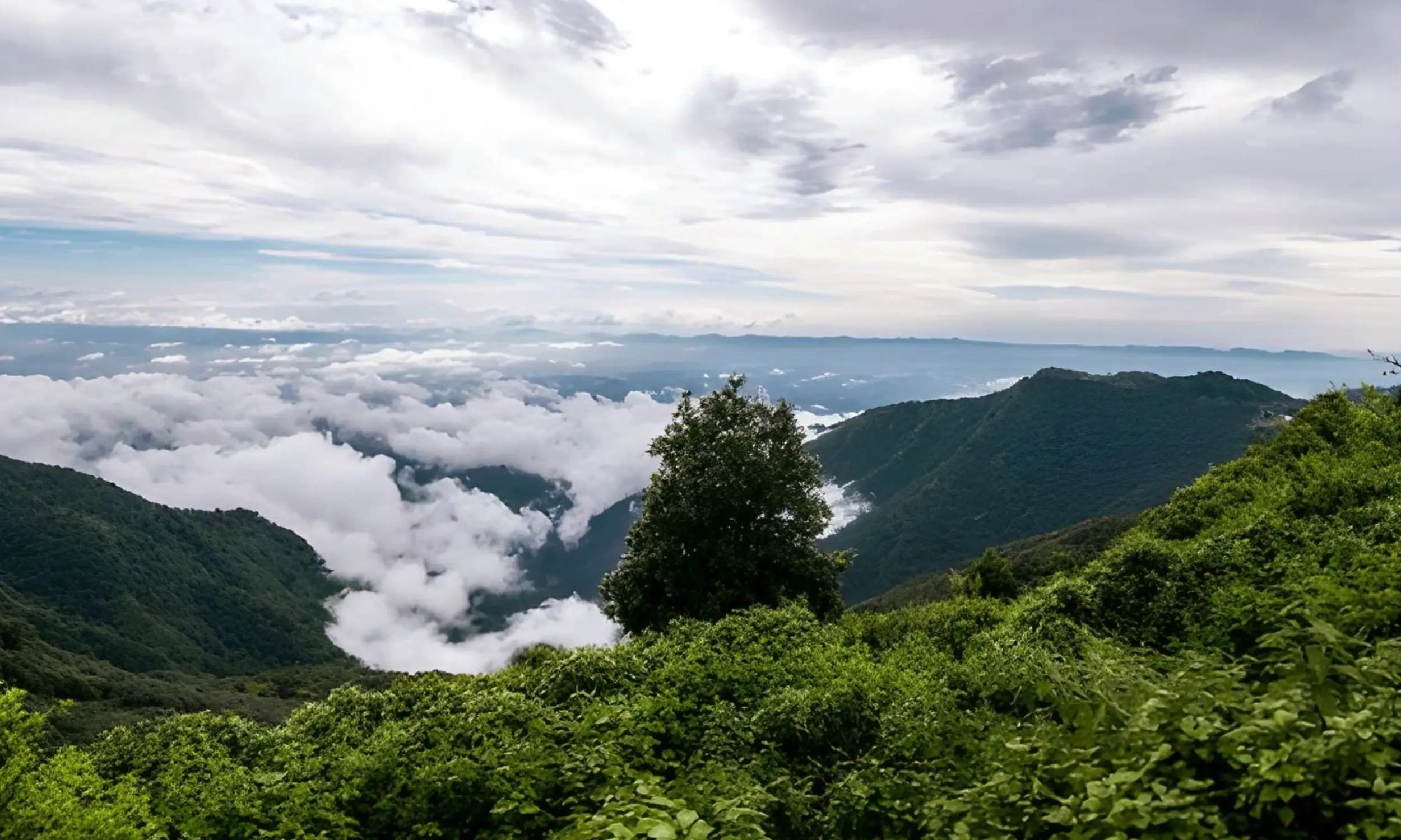 Top 10 Hill Stations to Visit in Uttarakhand 