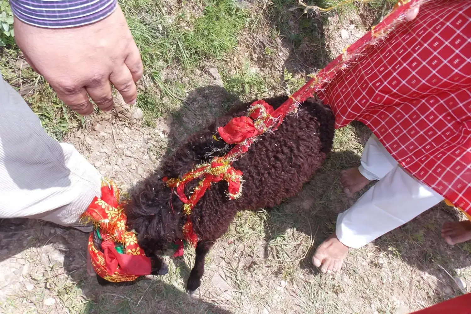 Nanda Devi Raj Jat Yatra