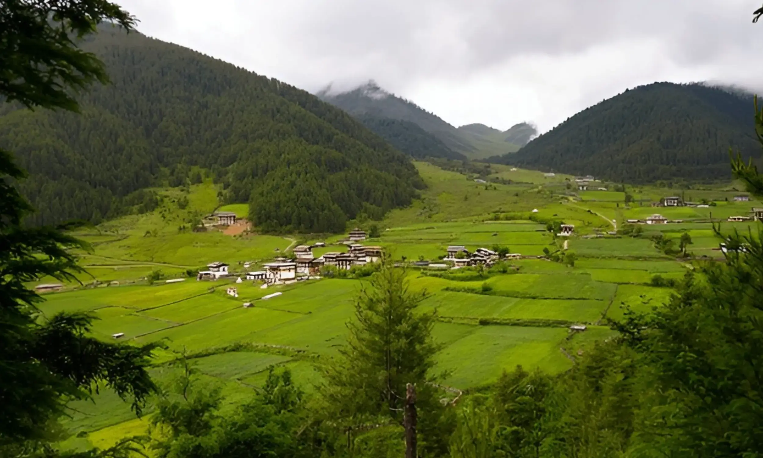 Bhutan Tourism - Phobjikha Valley- Best Places to Visit