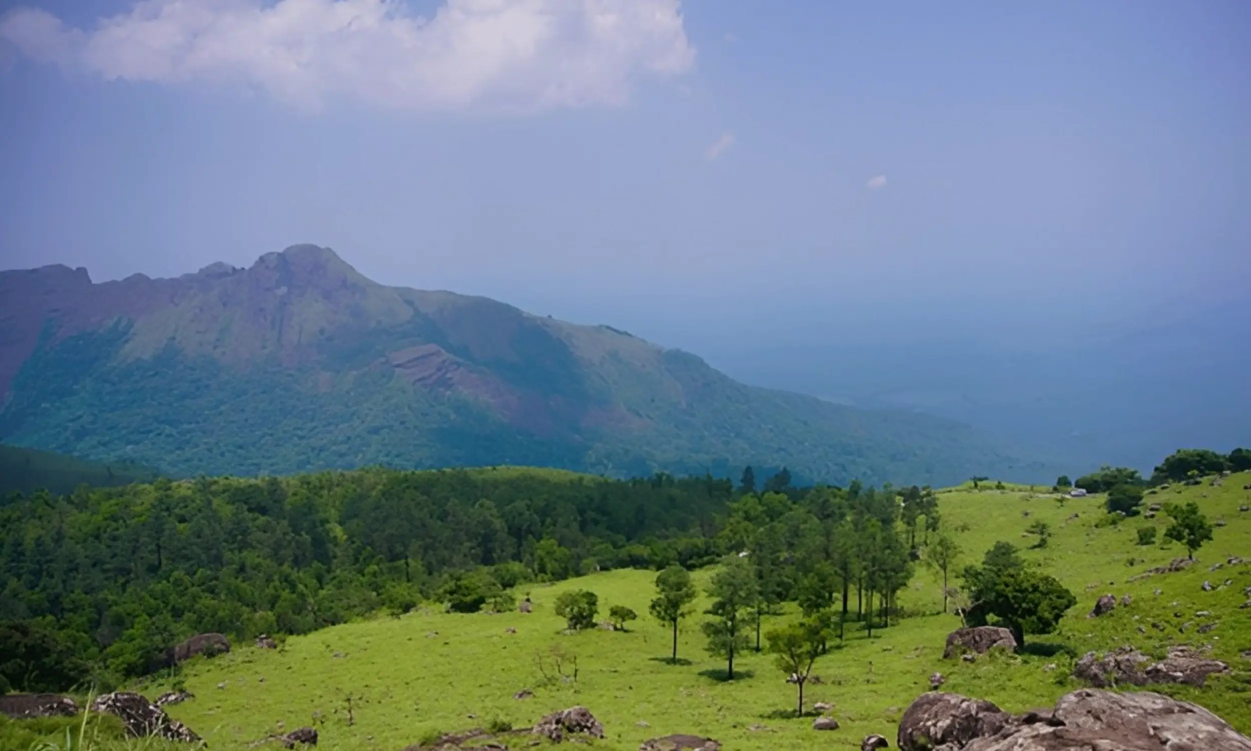 Ponmudi- Top Hill Stations in Kerala