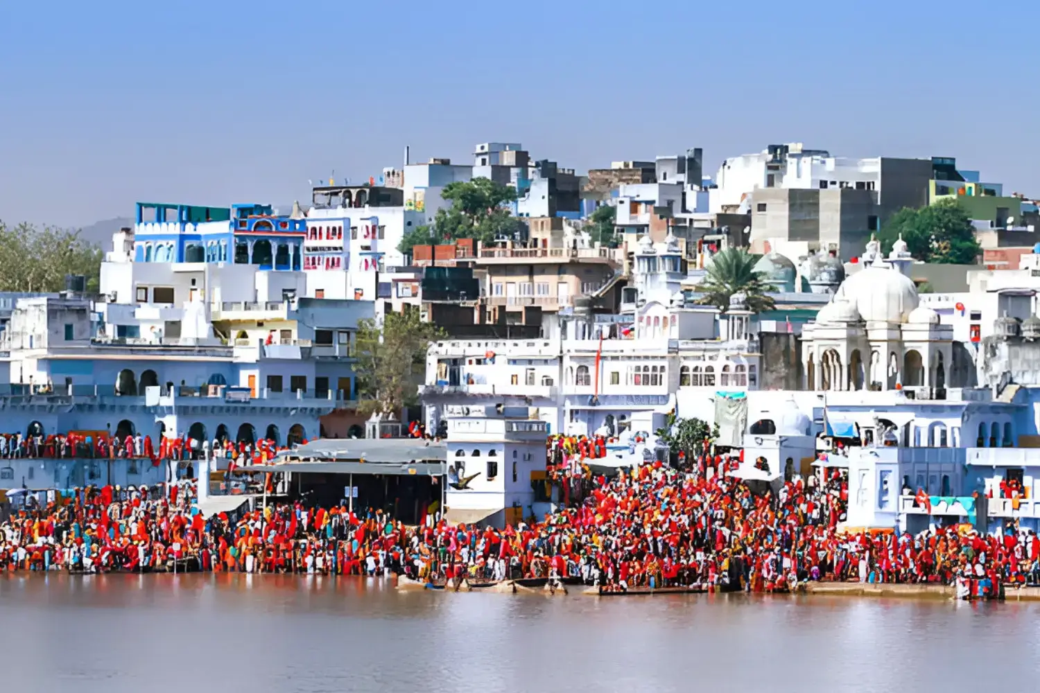 History of Pushkar Camel Fair