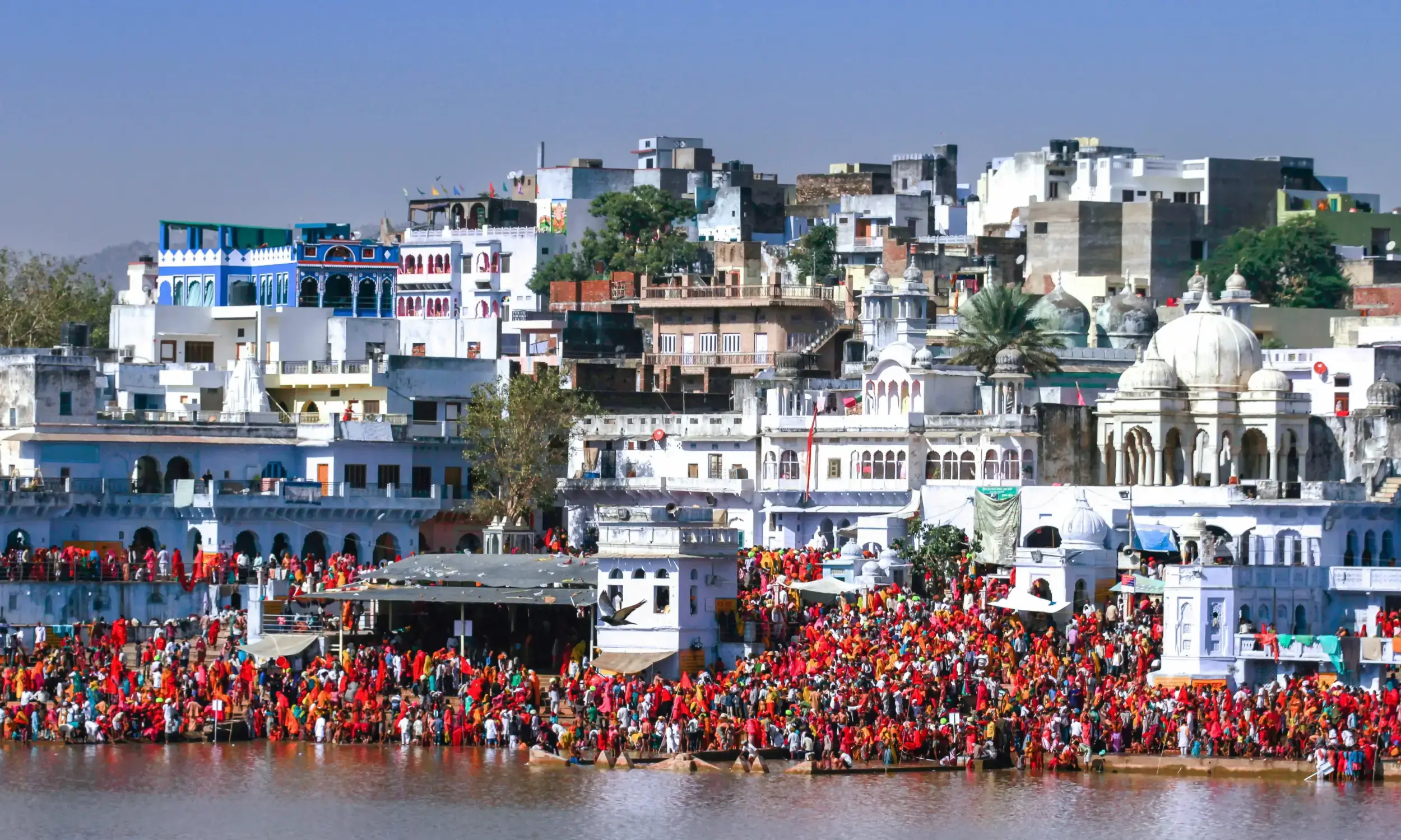 Pushkar Fair Rajasthan
