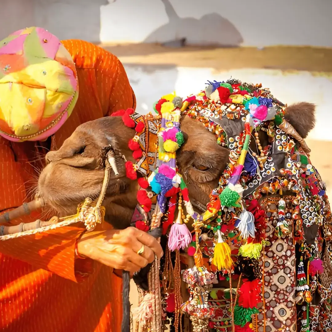 Pushkar Fair Rajasthan