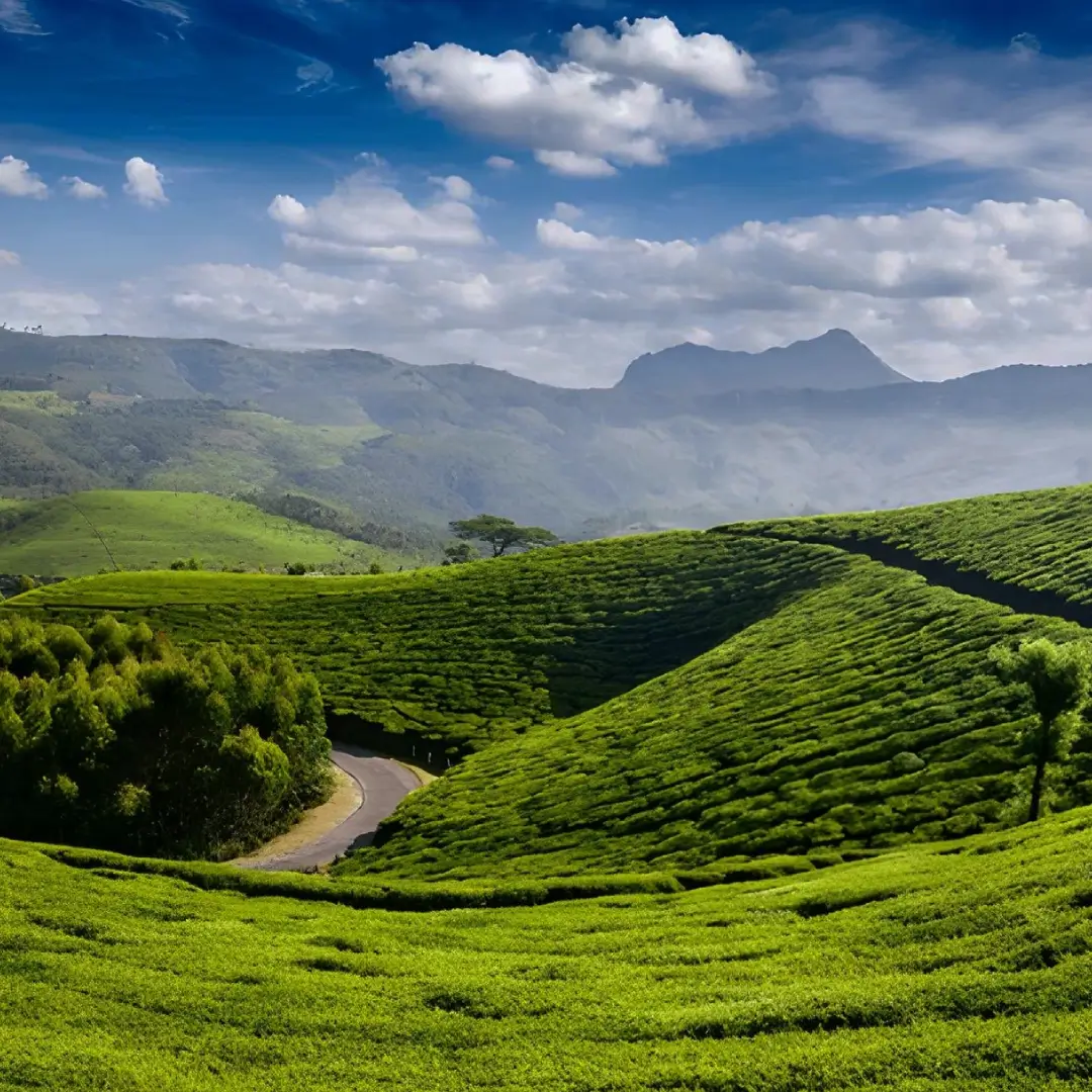 Best Hill Stations in Kerala  