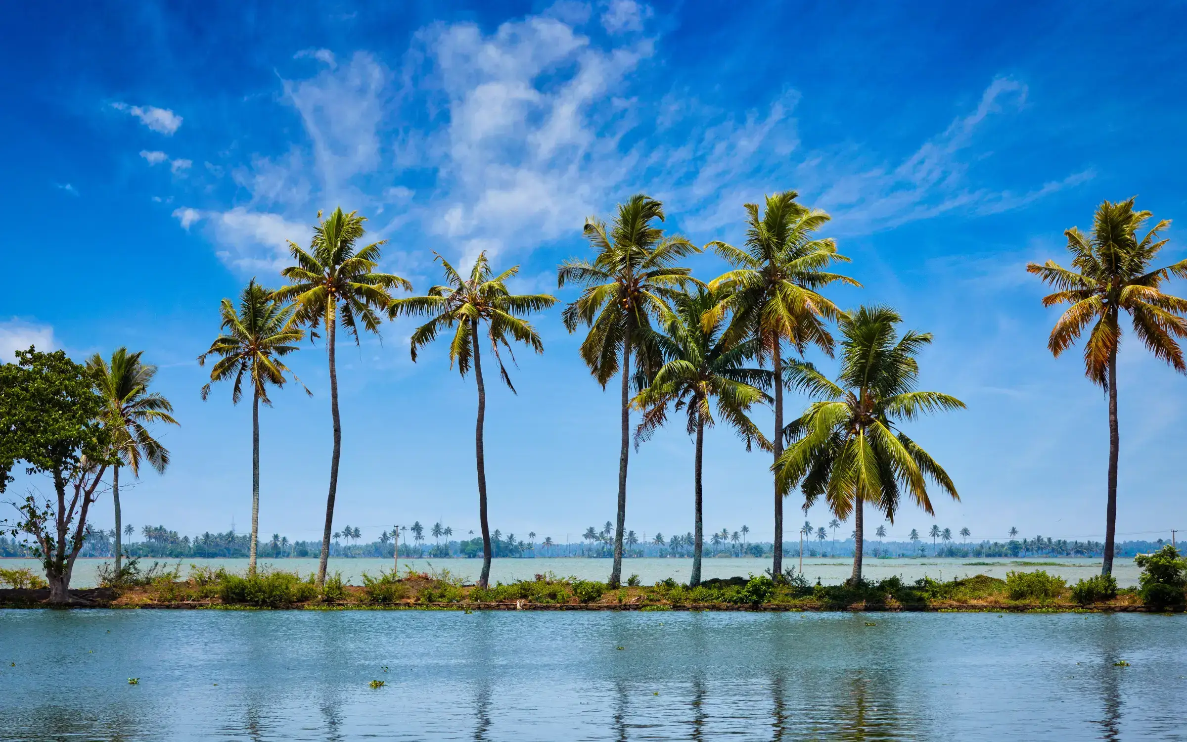 Top Honeymoon Places in India