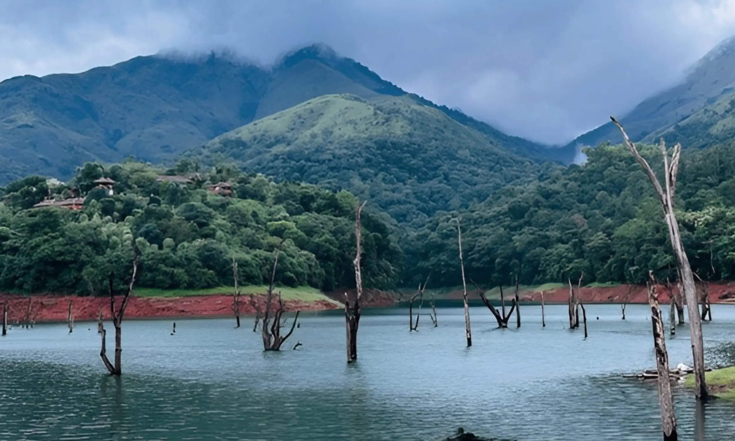 Wayanad- Best Hill Stations in Kerala
