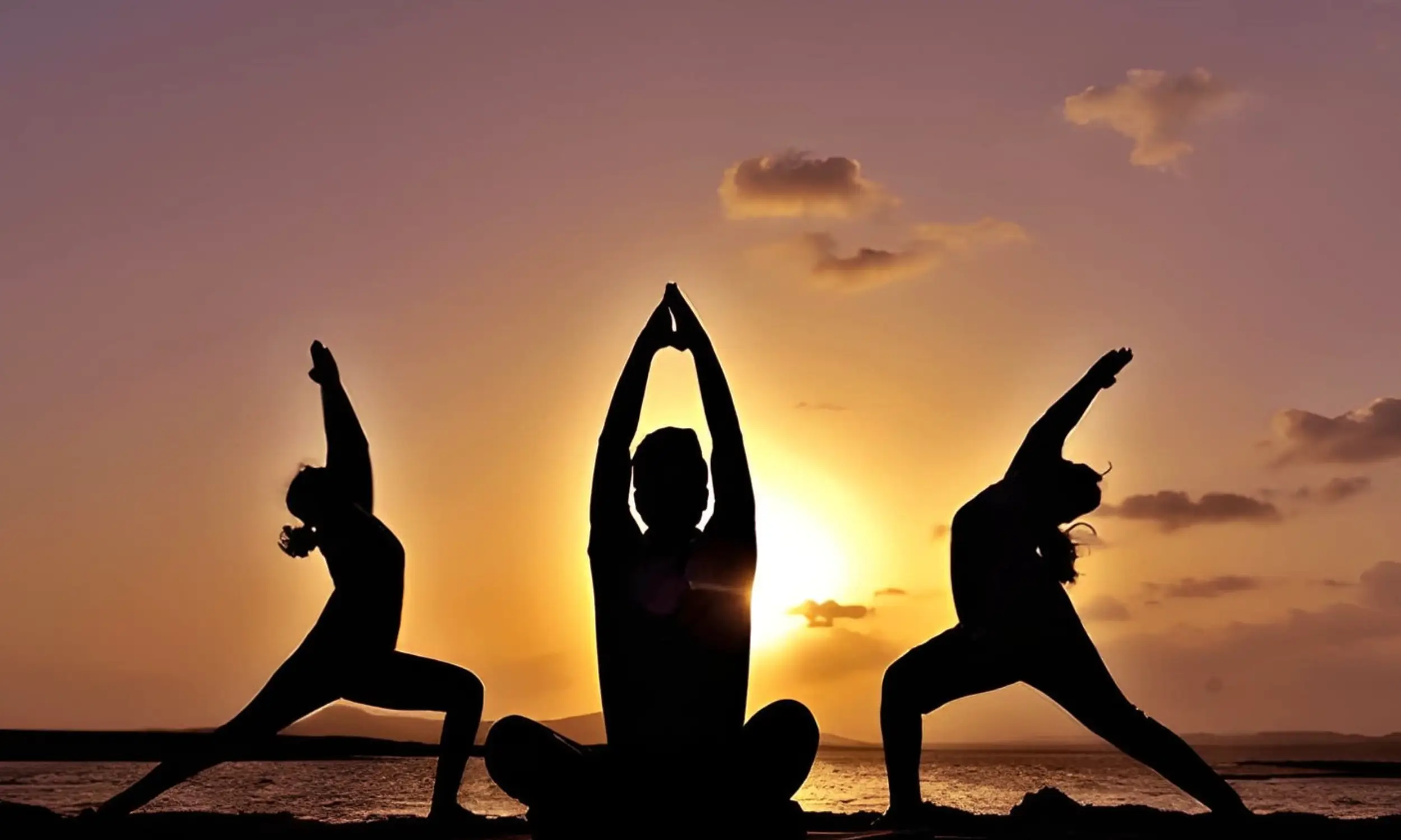 Tamil Nadu Tourism - Yoga & Ayurveda Tourism in Tamil Nadu 