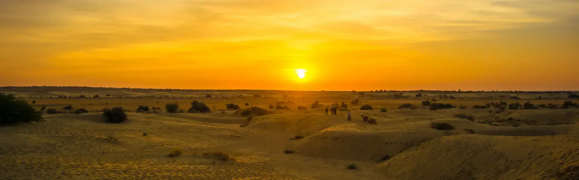 Jaisalmer Tour Packages