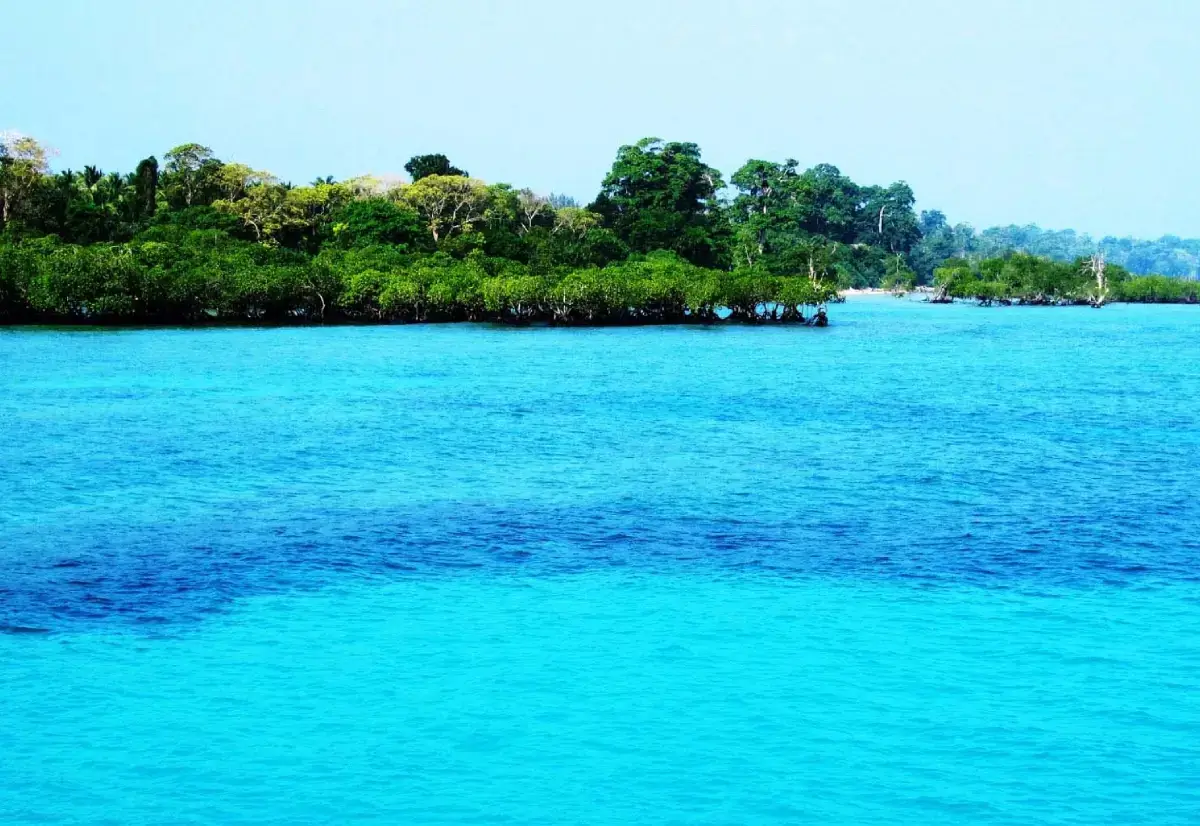 India Tour - Andaman Tour Packages