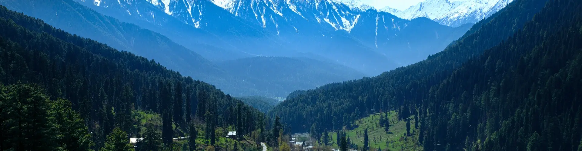 Majestic Kashmir Tour