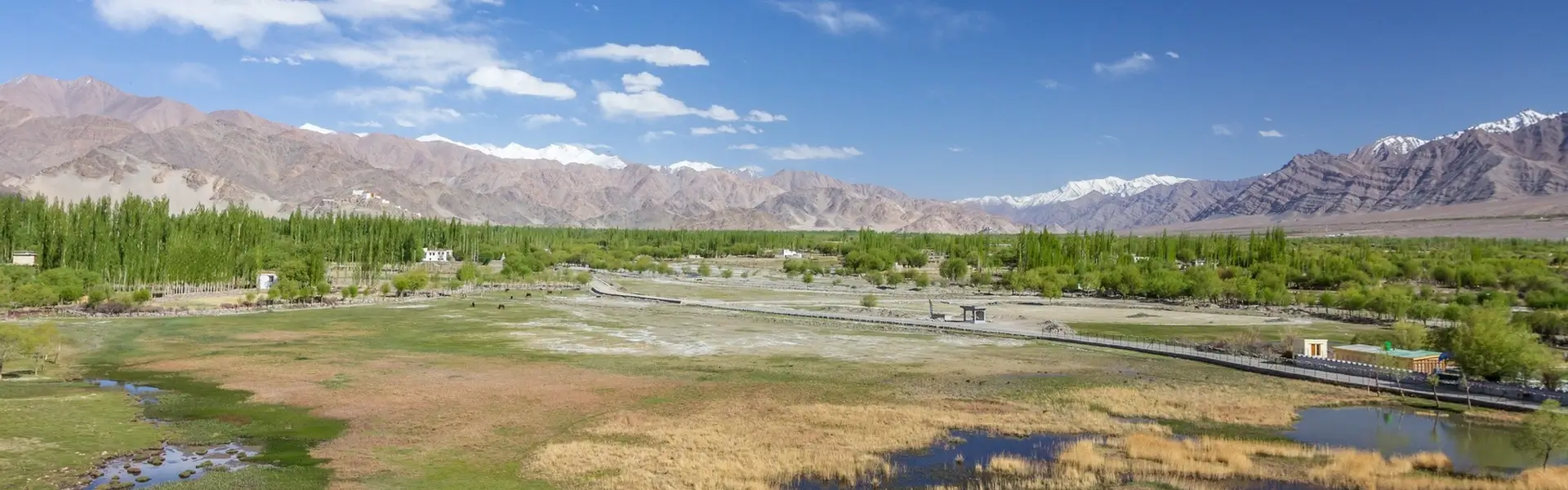 Ladakh with Puga Valley Tour