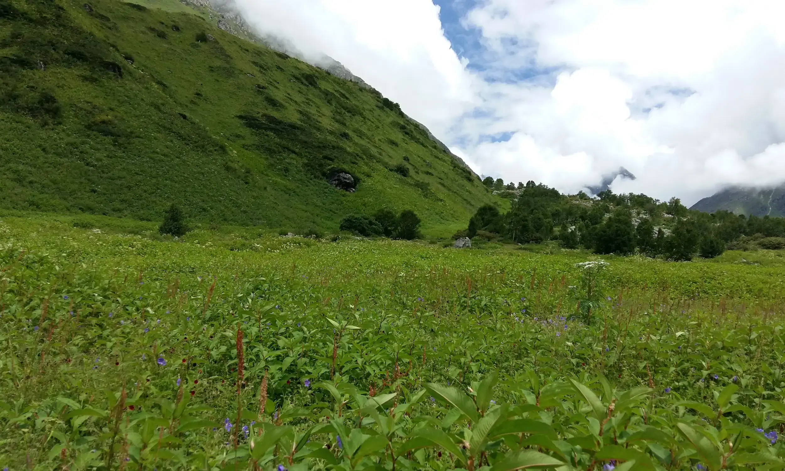 Best Treks for August in India