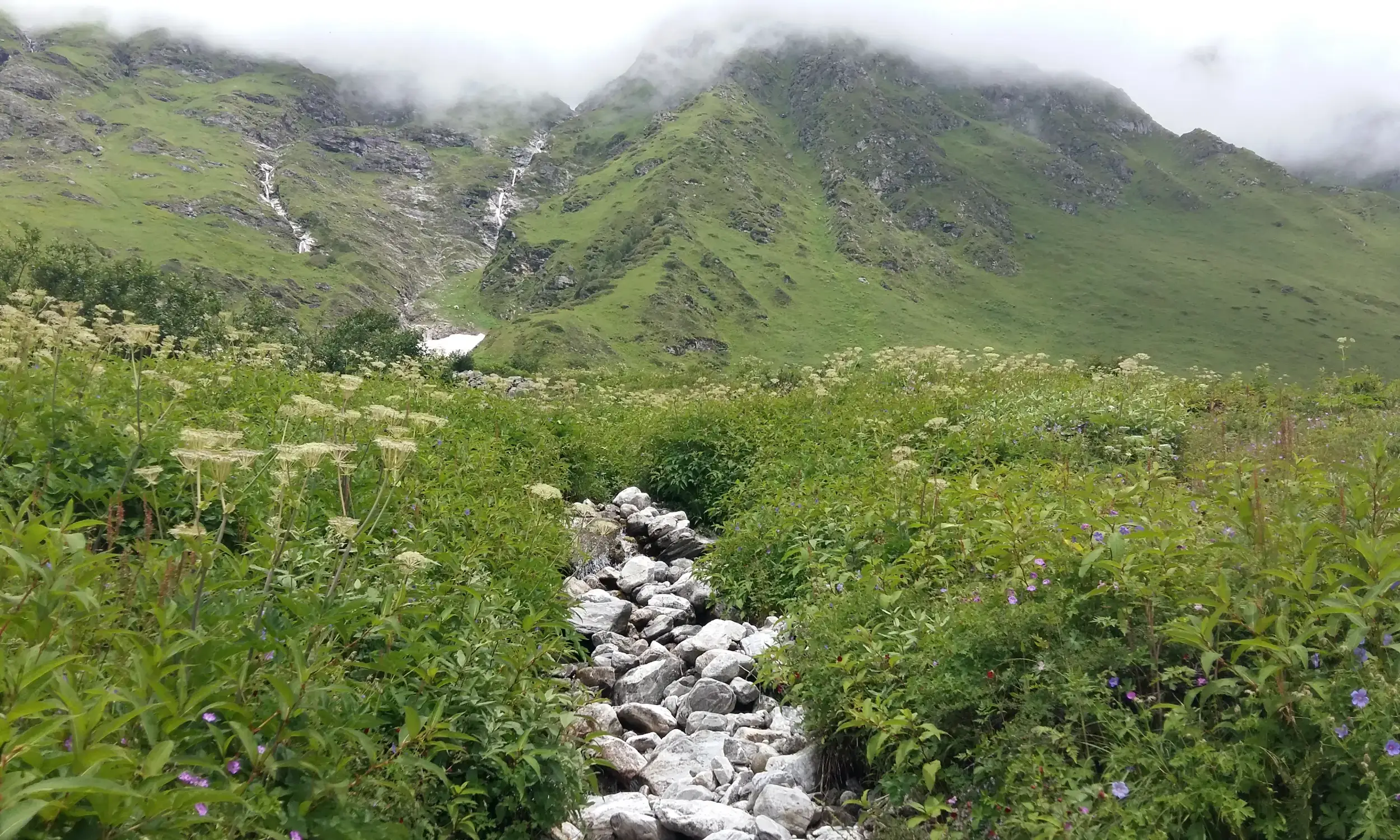 Best Treks for July in India