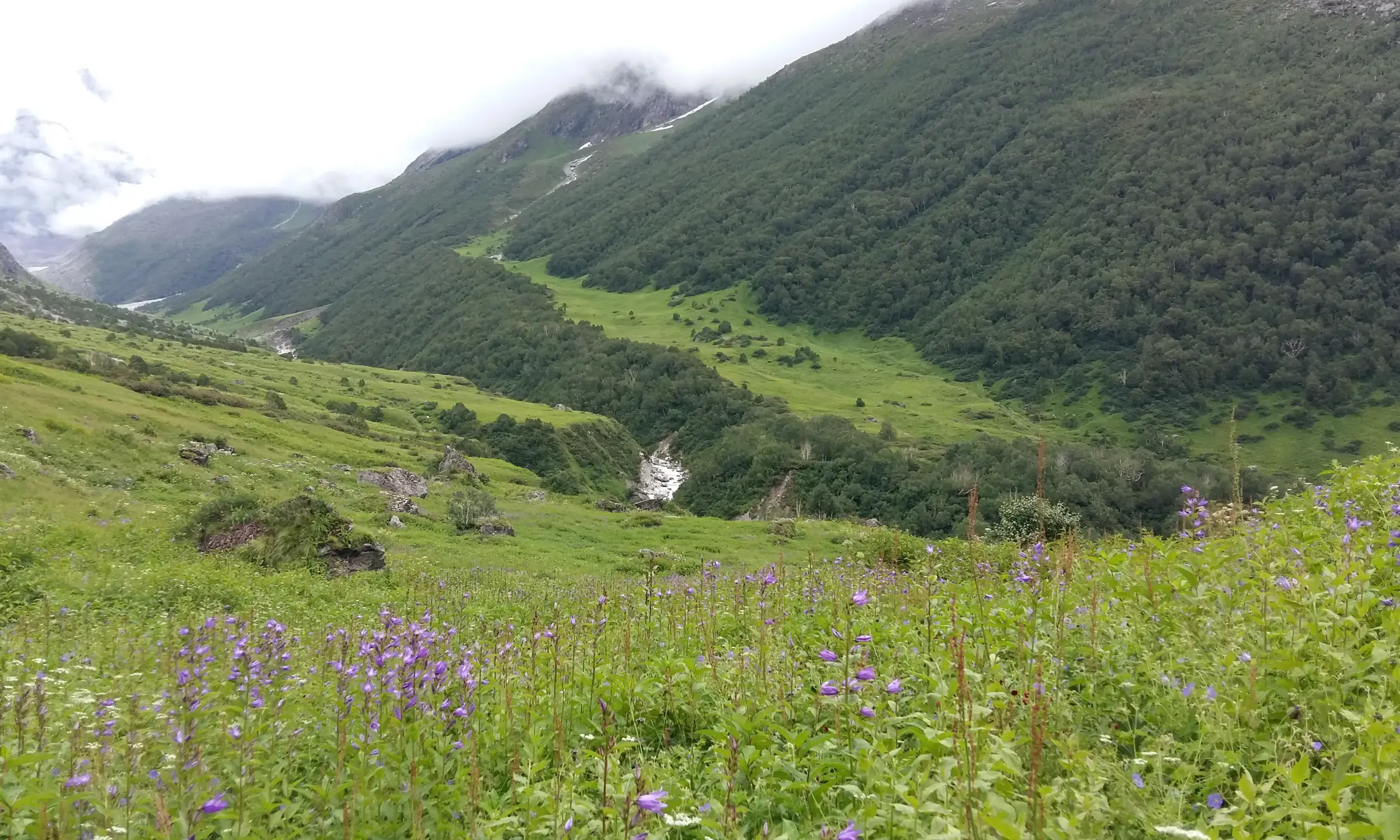 Best Treks for June in India