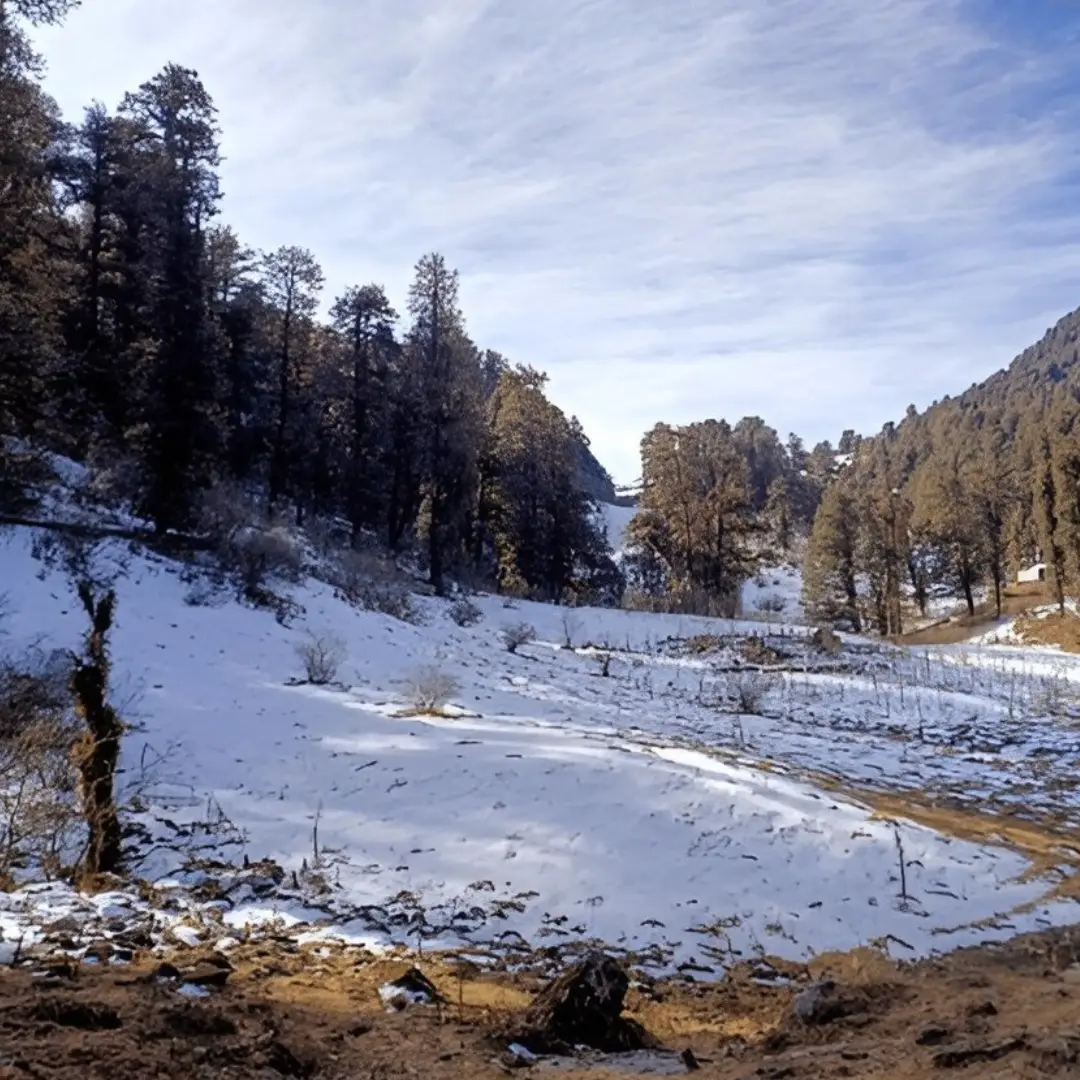 Dayara Bugyal Trek