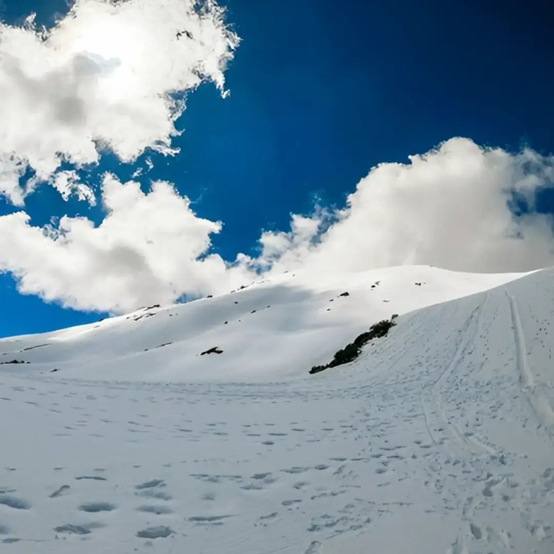 Kedarkantha Trek