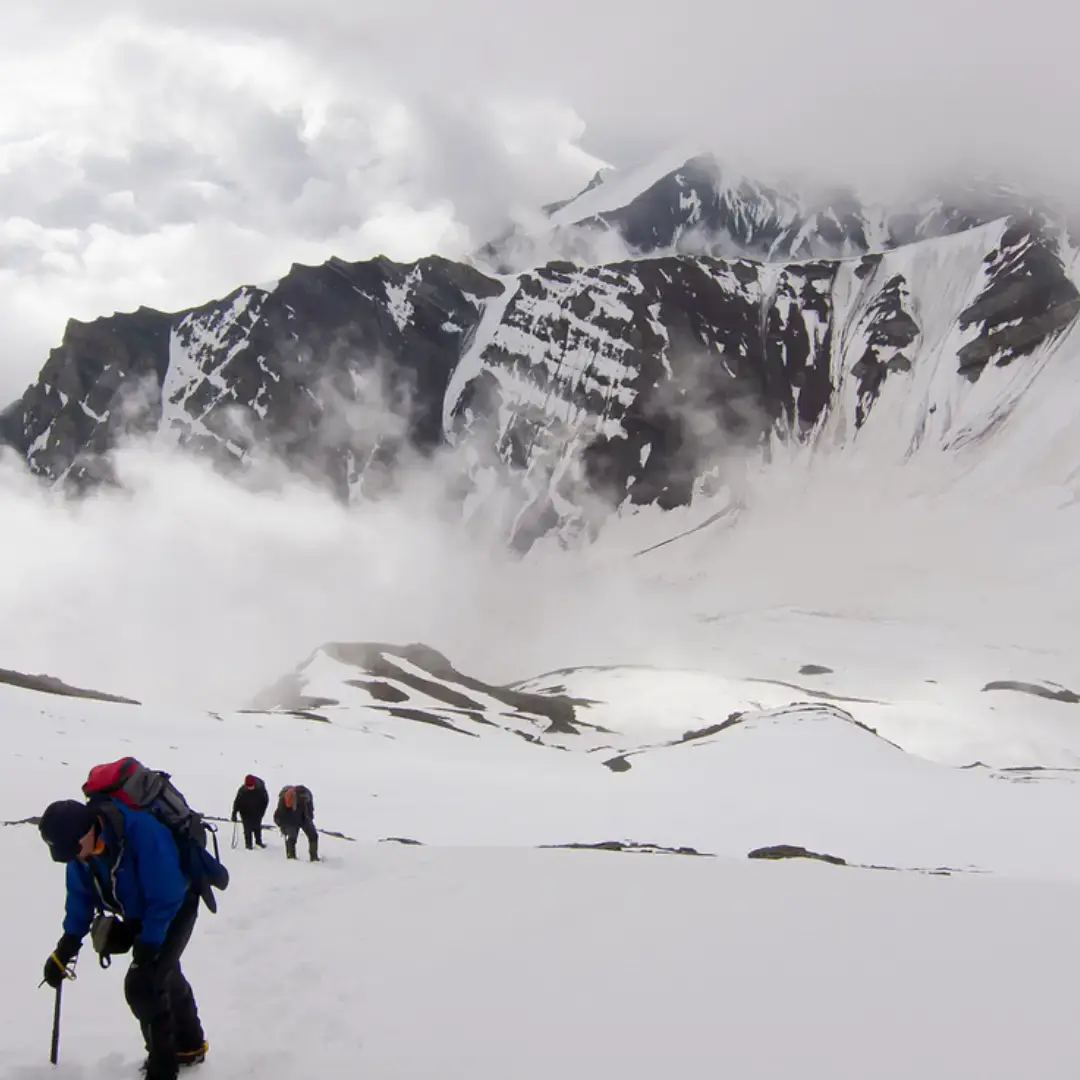 Top Treks in January