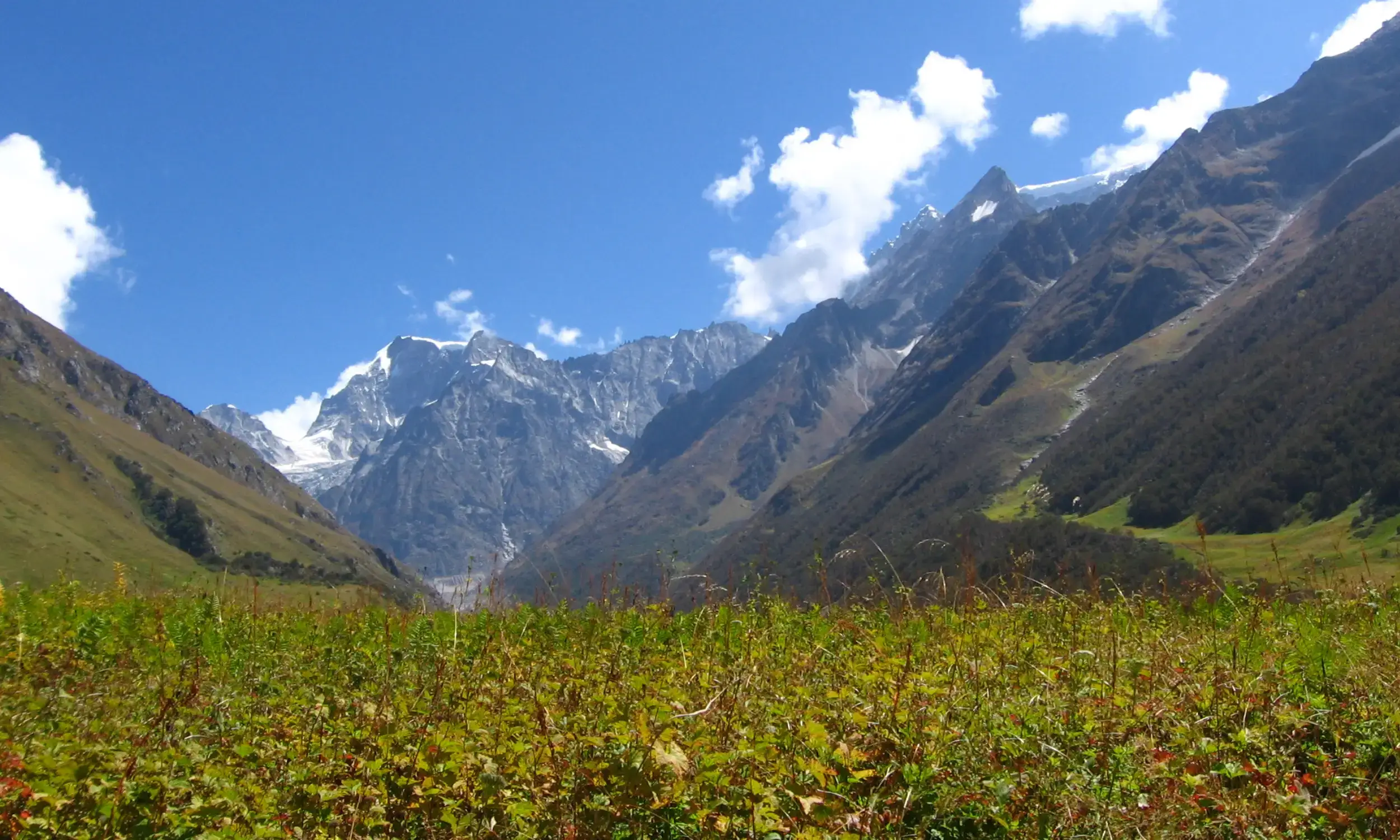 Valley of Flowers Trek-Top Treks in India