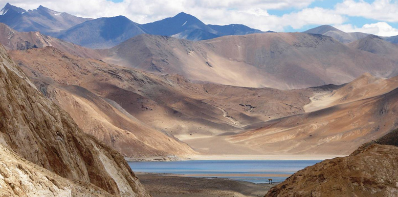 Ladakh Himalayas