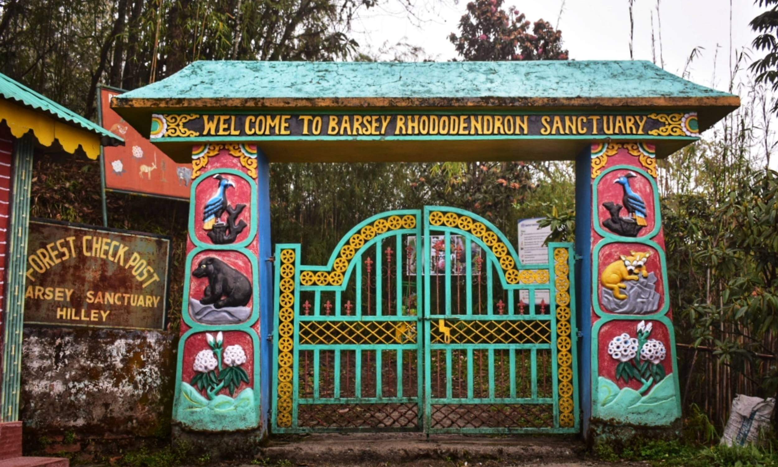 Barsey Rhododendron Sanctuary Trek Sikkim- Best Trek in Sikkim