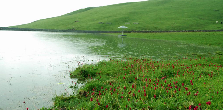 Bedni Bugyal Trek