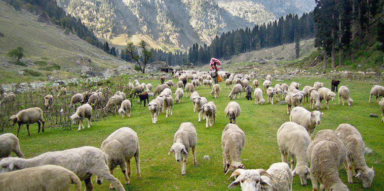 Dodital Bamsaru Khal Trek