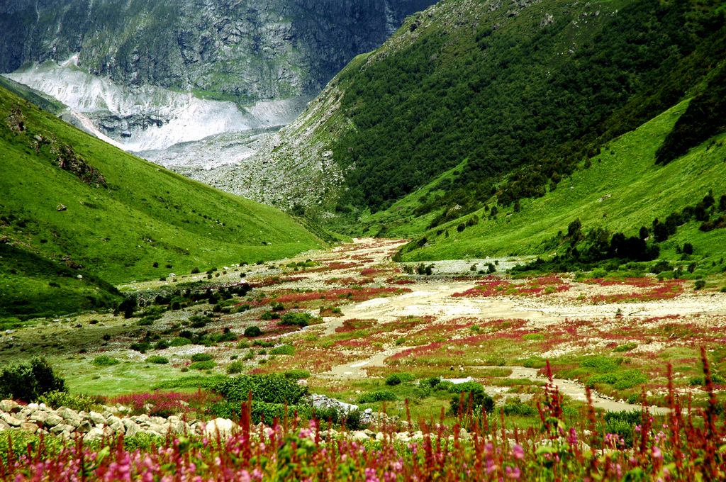 Valley of Flower Trek