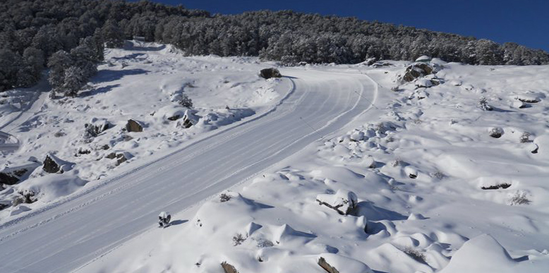 Auli Gorsan Trek