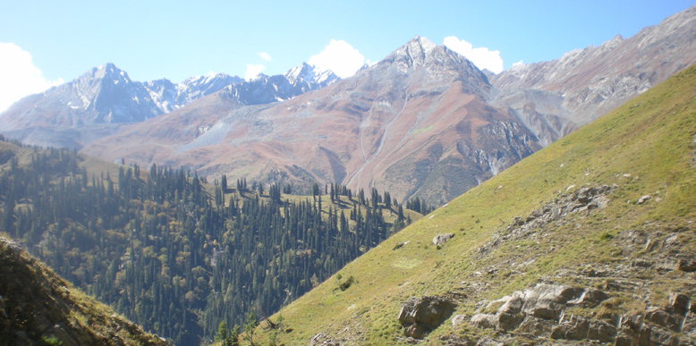 Miyar Valley Trek