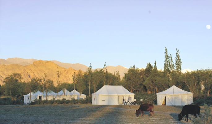 Tsermang Eco Camp