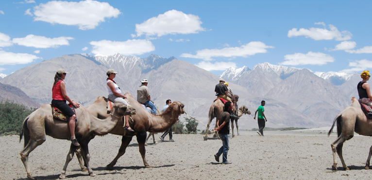 Ladakh Camel Safari