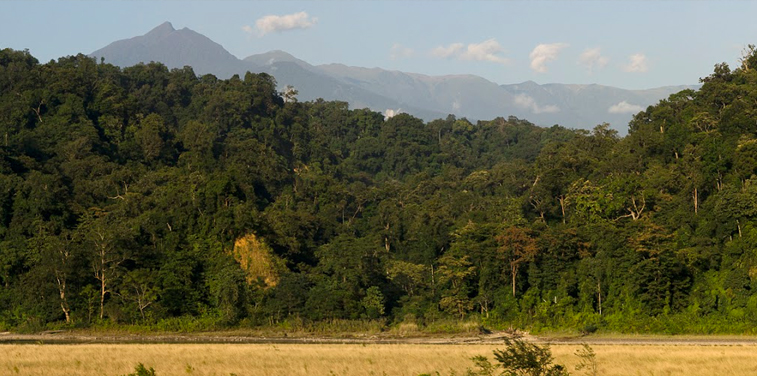 Namdapha National Park