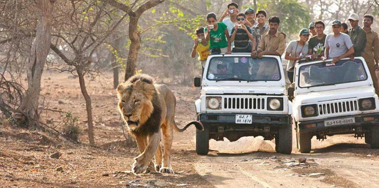 Gir National Park