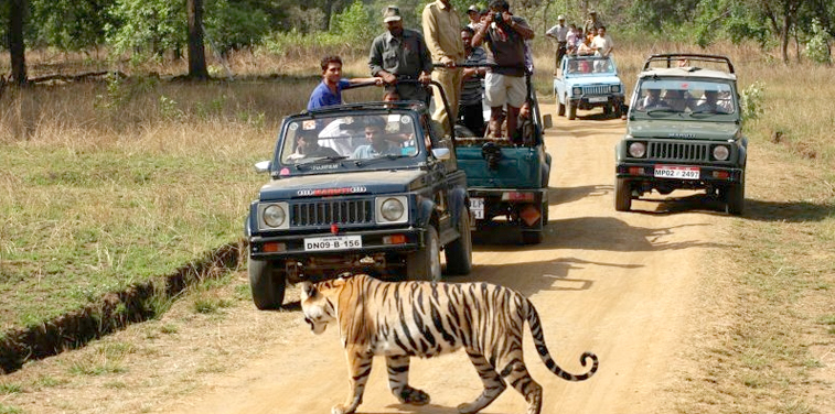 Kanha National Park