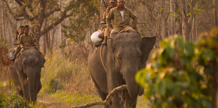 Manas National Park