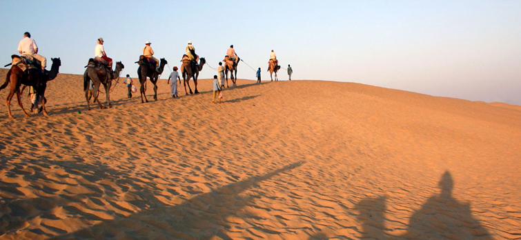 Camel Safari