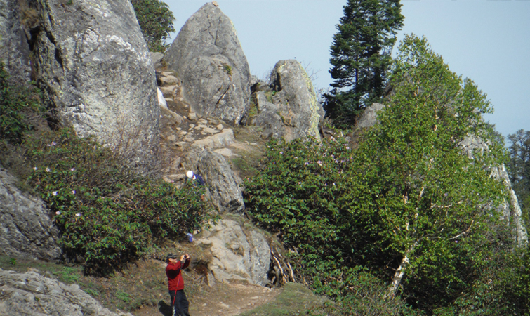 Churdhar Peak Hiking