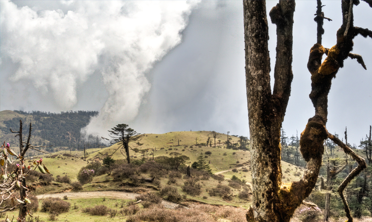 Darjeeling Hiking Trail