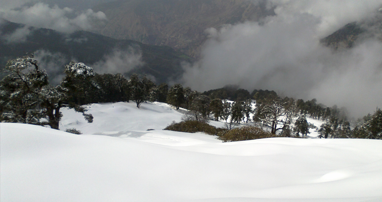 Chopta Chandrashila Trek